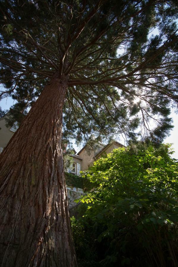 Le Fassardy Bed & Breakfast Châteauroux Exterior photo